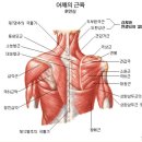 예등 이미지