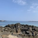 세븐일레븐제주한림로점 이미지