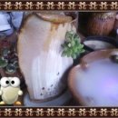 다육공방