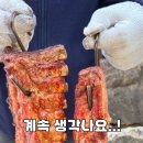 정선황토펜션1 이미지