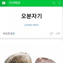 착한제주고등어 이미지