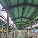 남원흑염소농장 2농장 이미지