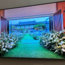 플라워호텔 이미지