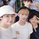 세진