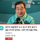 새미래tv 실시간 시청자수 이미지