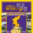 배꼽누리 이미지