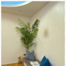 울산치과기공소 | 자연치아를 귀하게 여기는 울산 치과 기공소 운영