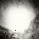 작은풍경 이미지