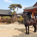 너른마당1 이미지