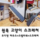 일패동 435-2 경동택배 앞 | 튼튼한 고양이 스크래쳐 세트 원목은 우디캣에서!