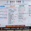 동어담 | 수성구에 포항물회 가능?🐟 회 잡는 거 직접 본 후기 (동어담 위치+주차+가격까지!)