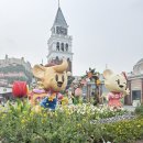 호랑이와 반달곰 | 에버랜드 사파리 재개장 후기, 윙즈 오브 메모리 서커스까지 보고 온 하루