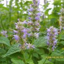 민물나라추어탕 이미지