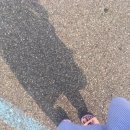 청솔냉면