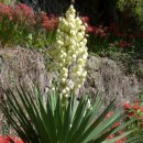 제일수도사 이미지