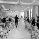 세인트41 이미지