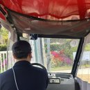 스카이랜드 이미지