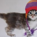 사각하늘 이미지