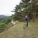 부여(임천)-14 이미지