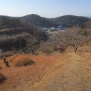 매안농장 티스토리