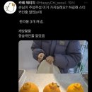 제주와요 이미지