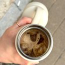 토이베 | 밀린 일상, 봄의 끝자락 그리고 세종여행