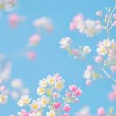 스테이 서로 이미지