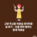 천지미용실 네이버블로그