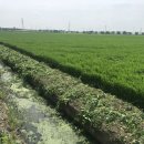 명월농장 이미지