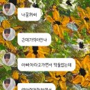 리즈씨리즈C | 시리즈엘 콘서트 관람 후기