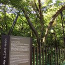 한라산국립공원관음사지구야영장 이미지