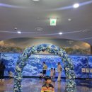 [공지] 제주도 아이랑 가볼만한곳 성산 아쿠아플라넷 제주 가족 나들이 후기