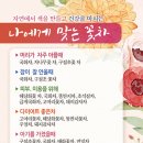 모아미꽃차향기원