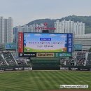 불꽃야구 시즌2 롯데 2군 사직 직관 후기 | 사직야구장 66블럭 중상탁자석 시야