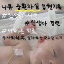 무사엔 | 니큐 중환자실 입원 기록, 신생아 서맥/경련/저산소허혈성뇌병증/저체온 치료 후 무사퇴원 후기