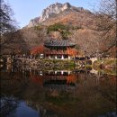 호남장성식당 | 장성 여행 백양사 가을 단풍명소 쌍계루 장성가볼만한곳 추천