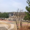 신성전기조명 이미지