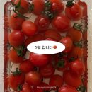유나호텔비지니스 | 제니's 생일기록... (아무말 대잔치)