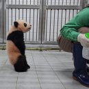 끝없던 겨울