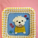 독구제과 이미지