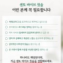 프라임바이브