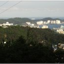 사하구-09 이미지
