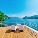 계명유치원 | 서울·근교 강아지와 함께 갈 수 있는 펫카페 추천 &amp; 방문 꿀팁 총정리