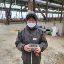 (주)에스에스데이터