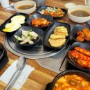 모자백반 이미지