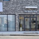 강아지미장원 이미지