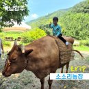 소소리농장 | 서울 근교 자연생태체험! 소소리농장에서 해피 팜크닉
