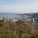 구룡포 초등학교 이미지