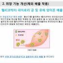 후코이단은 헬리코박터 파일로리 (Helicobacter pylori)가 AGS 세포에 생체 내 부착되는 것을 방해한다. 이미지