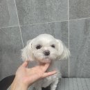 코코목욕 이미지